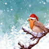 20 serviettes 3 plis Robin Snow - 33 x 33 cm