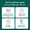 Abricotier Rouge Du Roussillon. Le pot de 12 litres, forme gobelet