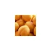 Abricotier Rustique Des Pyrenees ® Bourqui. En racine nue, forme 1/2 tige