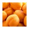 Abricotier Rustique Des Pyrenees® Lr. Le pot de 12 litres