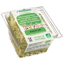 Alfalfa germé bio Germline - 60 g