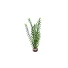Algue haute verte en plastique 33 cm