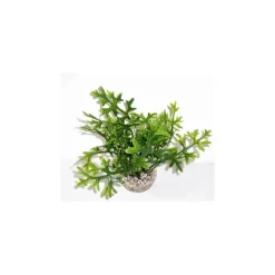 Algue verte en plastique petit modèle 13 cm