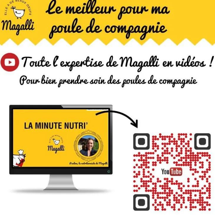 Aliment complet pour poule pondeuse en sac jaune de 8 kg