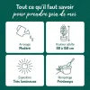 Alocasia wenti verti. Le pot de 15 litres