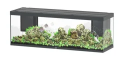 Aquarium coloris gris Aquatlantis Sublime Ultra LED 2.0 675 L - 200 x 60 x 75 cm