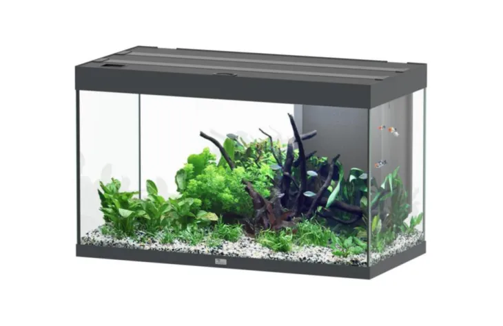 Aquarium coloris gris Aquatlantis Sublime Ultra LED 2.0 245 L - 100 x 50 x 60 cm