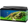 Aquarium d'eau douce complet coloris noir Ciano Aqua 80 LED 71 L