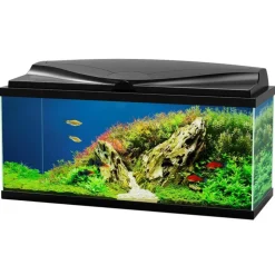 Aquarium d'eau douce complet coloris noir Ciano Aqua 80 LED 71 L