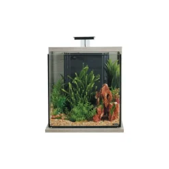 Aquarium Idro 40 coloris zebrano gris Zolux - L 43 x p 30 x h 51,5 cm