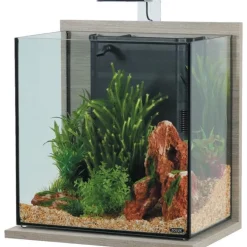 Aquarium Idro 40 coloris zebrano gris Zolux - L 43 x p 30 x h 51,5 cm