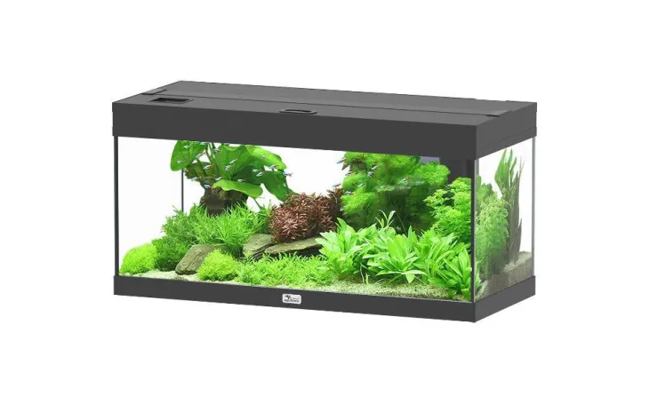 Aquarium Prestige 80 coloris noir - 85 L