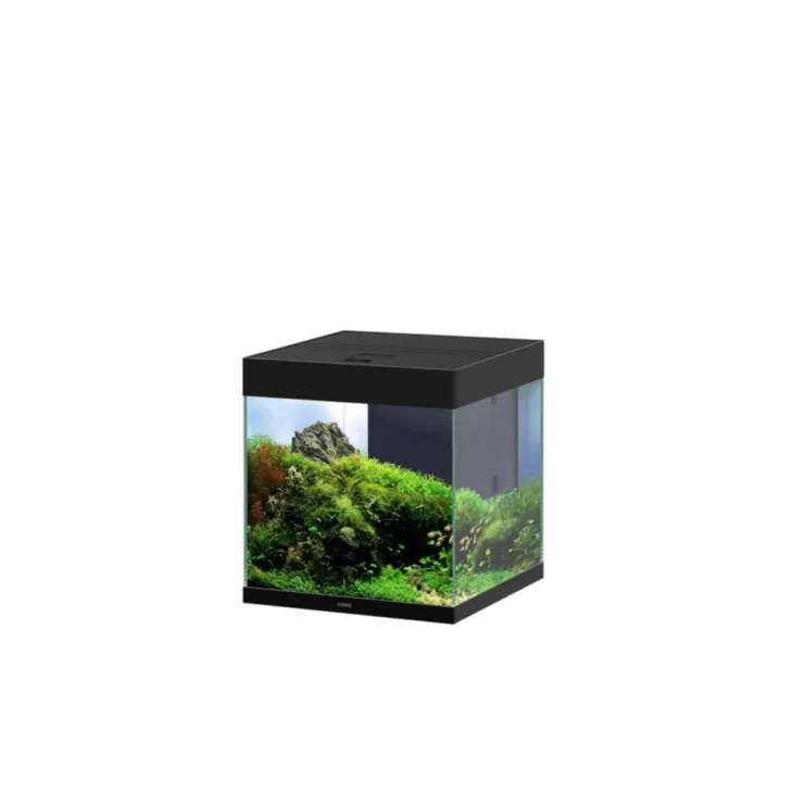 Aquarium équipé Ciano Emotions Pro 40 noir 52 L - 40 x 40 x 43 cm