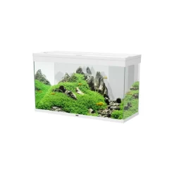 Aquarium équipé Émotions Pro 100 blanc - 201 L