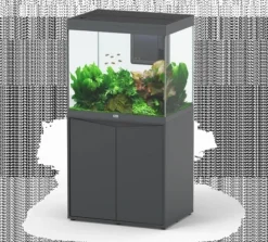 Aquarium tout équipé, Gris anthracite mat - AQUATLANTIS Volga 200 - 242L