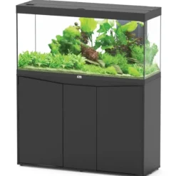 Aquarium tout équipé, noir, AQUATLANTIS AQUARIUM Splendid 120 - 293L