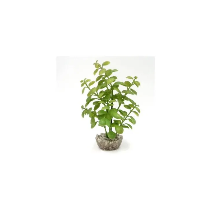 Arbre lentille vert en plastique petit modèle 10 cm