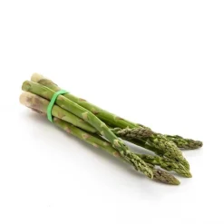 Asperge verte bio d'Espagne - Botte de 500g