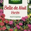 Belle-de-nuit Variée Vilmorin - graines à semer