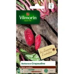Betterave Crapaudine Vilmorin - graines à semer