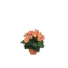 Bégonia saumon artificiel en pot Campana Terra H 25 x Ø 20 cm