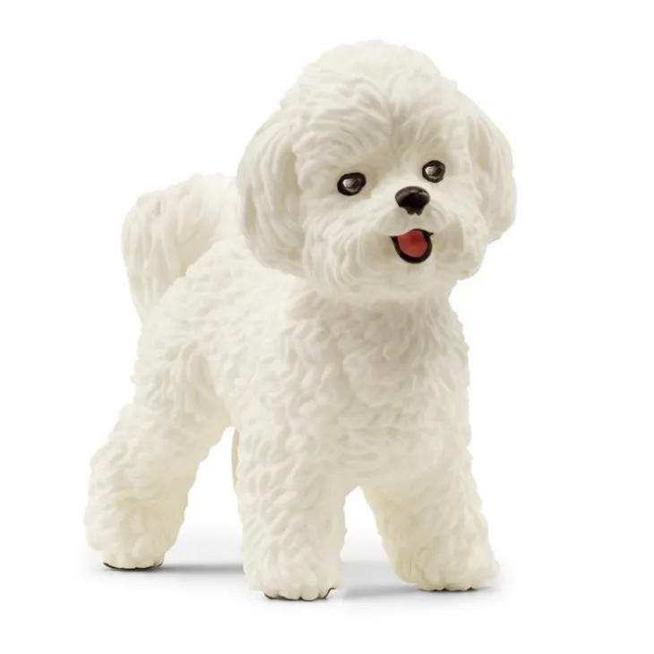 Bichon frisé multicolore Schleich - 4.4 cm