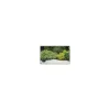 Bordure de gazon Selfix bordura coloris noir 0,13x5 m