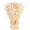 Botte boutons de fleurs séchées coloris beige naturel - 14 x 14 x 20 cm