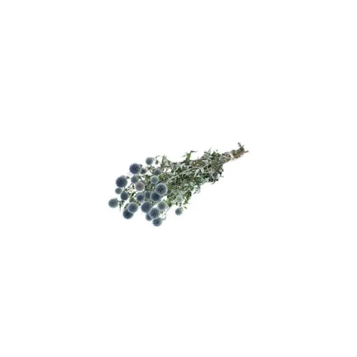 Botte de fleurs séchées coloris bleu chardon naturel
