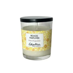 Bougie en verre transparent Lothantique L’éditeur de parfums senteur Fleur d’agrumes - 160 g