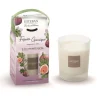 Bougie initiale parfumée Esteban en verre transparent senteur Figuier garrigue - 180 g