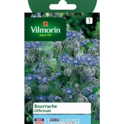 Bourrache Officinale Vilmorin - graines à semer