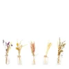 Bouteille fleur séchée coloris multicolore en verre