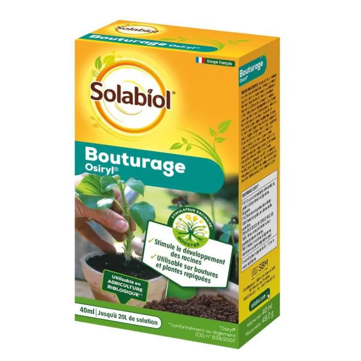 Bouturage Osyril®