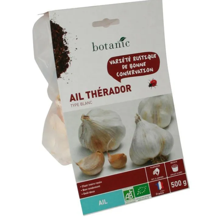 Bulbes d’ail blanc Therador AB bio 55+
