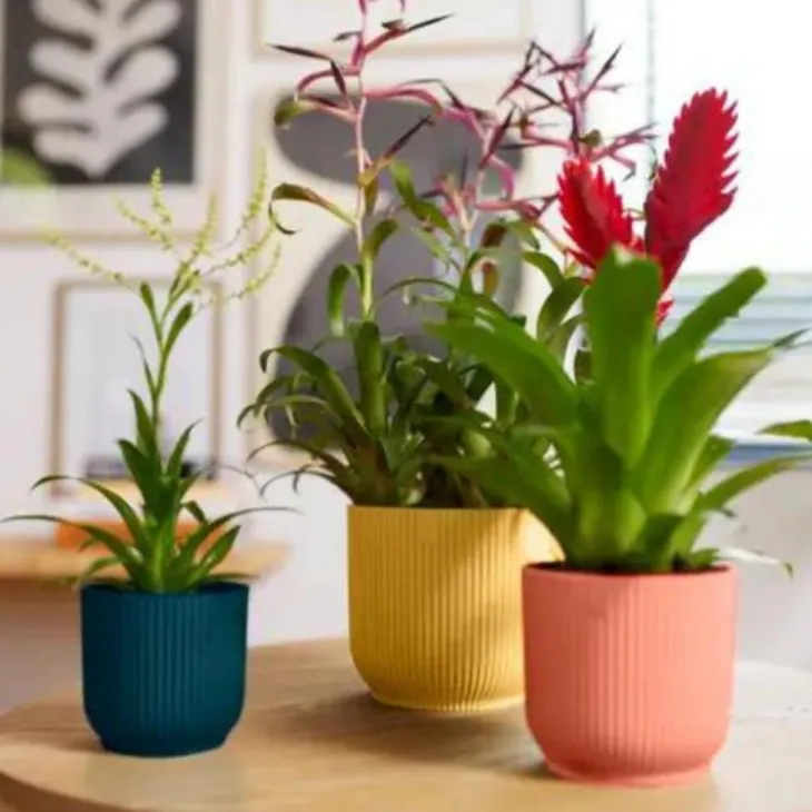 Cache pot rose poudré Elho Vibes fold mini - Ø 11 cm