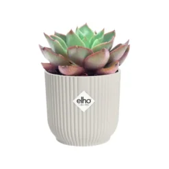 Cache-pot blanc soie Elho Vibes Fold Mini - Ø 7 cm