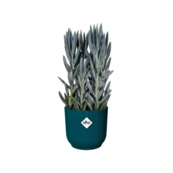 Cache-pot bleu foncé Elho Vibes Fold Mini - Ø 7 cm