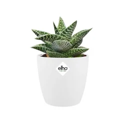 Cache-pot Brussels rond mini Ø 12,5 x H 11,4 cm Polypropylène injecté