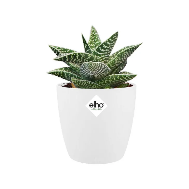 Cache-pot Brussels rond mini Ø 12,5 x H 11,4 cm Polypropylène injecté