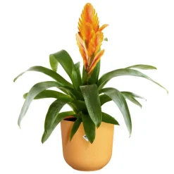 Cache-pot coloris jaune Jazz Elho - Ø 16 cm