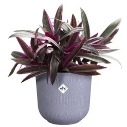 Cache-pot coloris violet Jazz Elho - Ø 19 cm