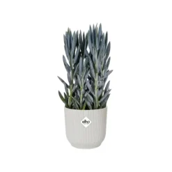 Cache-pot Elho Vibes fold blanc - Ø 18 cm