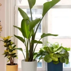 Cache-pot Elho Vibes fold blanc - Ø 18 cm