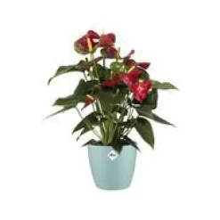 Cache-pot en plastique coloris vert menthe Elho Brussels M16 - Ø 16 cm