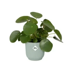 Cache-pot en plastique recyclé vert sorbet Elho Vibes fold rond mini - Ø 11 cm