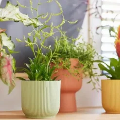 Cache-pot en plastique recyclé vert sorbet Elho Vibes fold rond mini - Ø 11 cm
