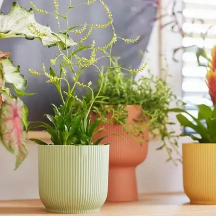 Cache-pot en plastique recyclé vert sorbet Elho Vibes fold rond mini - Ø 11 cm