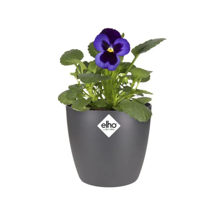 Cache-pot en polypropylène Elho Brussels rond mini anthracite - Ø 10,5 cm