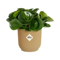 Cache-pot jaune beurre Elho Vibes Fold Mini - Ø 9 cm